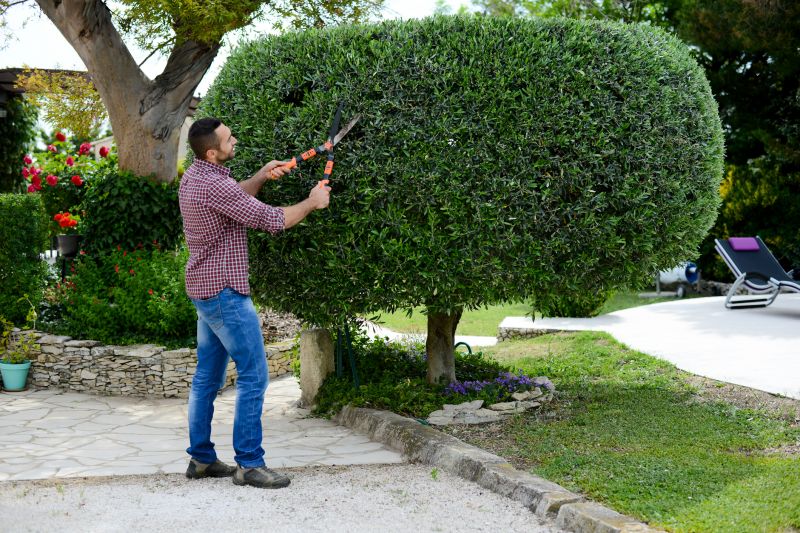 Cost of Landscape Trimming Service — Cost of Landscape Trimming Service