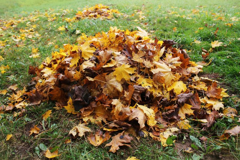 Autumn Leaf Pile Collection
