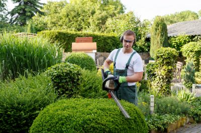 Products For Landscape Trimming Service in use