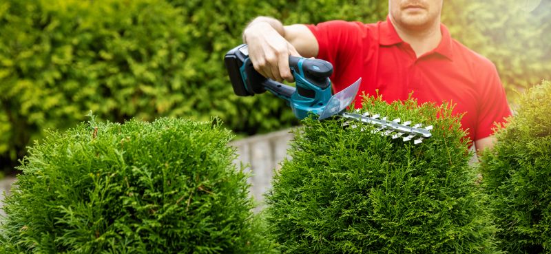 Experienced Landscaping Teams